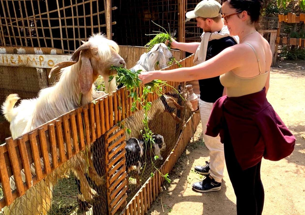 Il Campo Boutique Ecolodge El Hawamdeya Kültér fotó